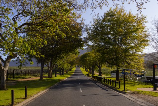 Full Day Winelands Tour