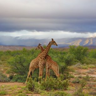 Overberg